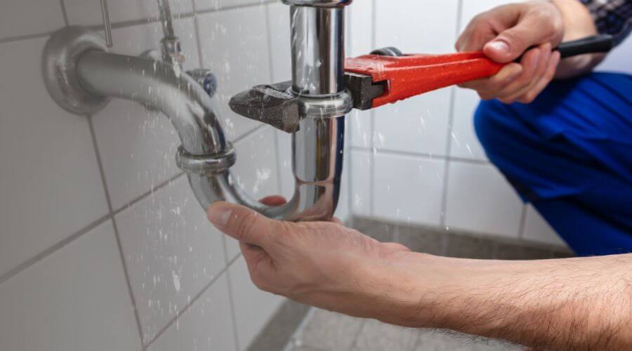 Professional Leak Detection services in Earling, IA